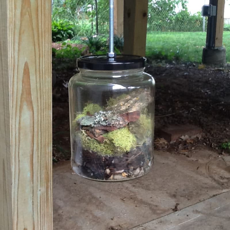 Found Terrariums, member
