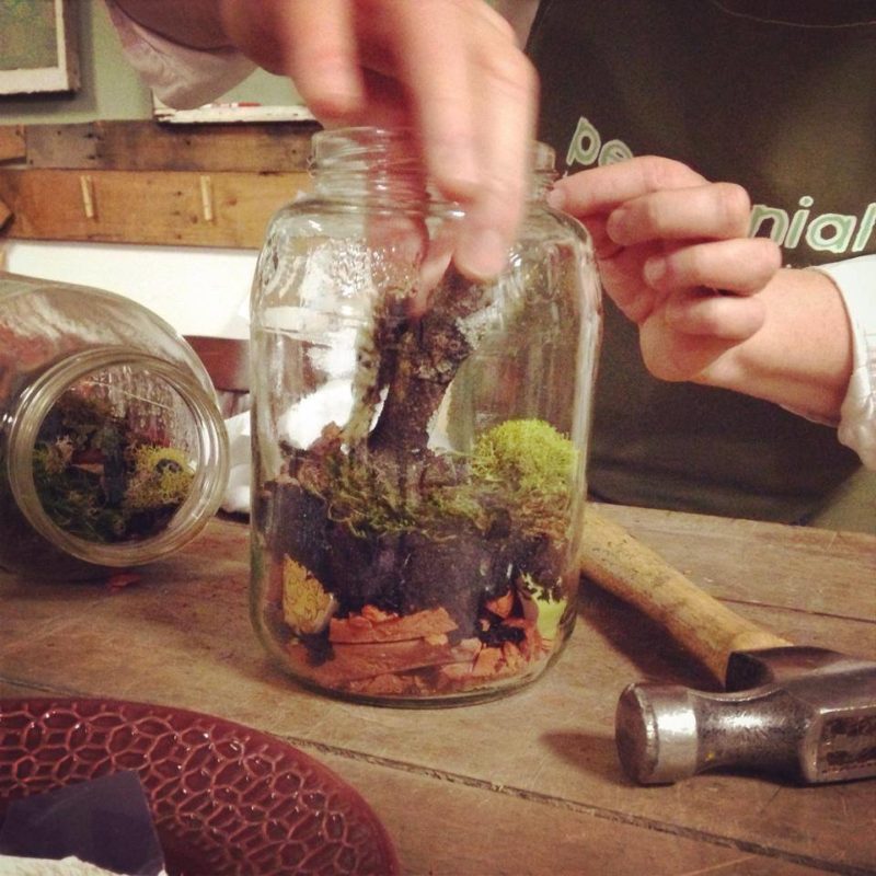 Found Terrariums