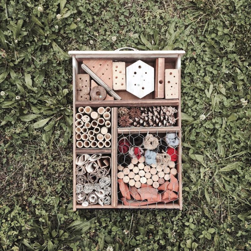 Pollinator Palaces