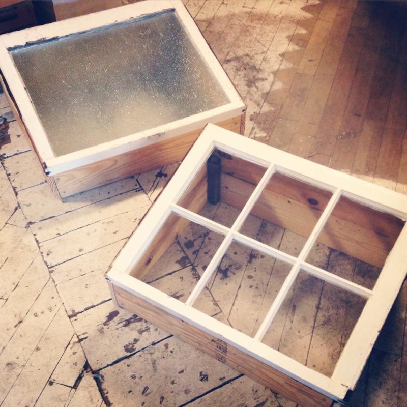 Cold Frames - Member