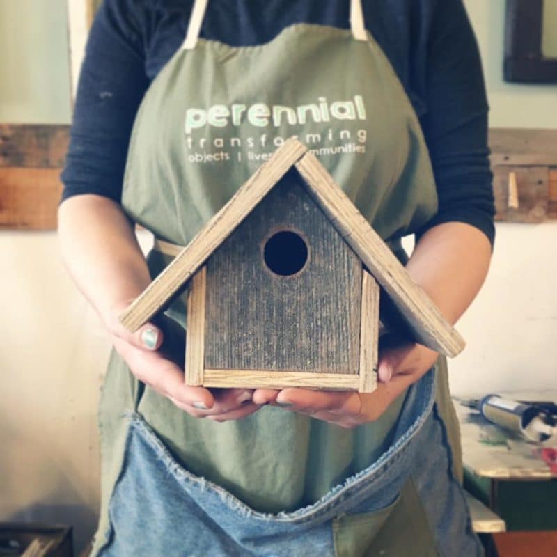 bird houses