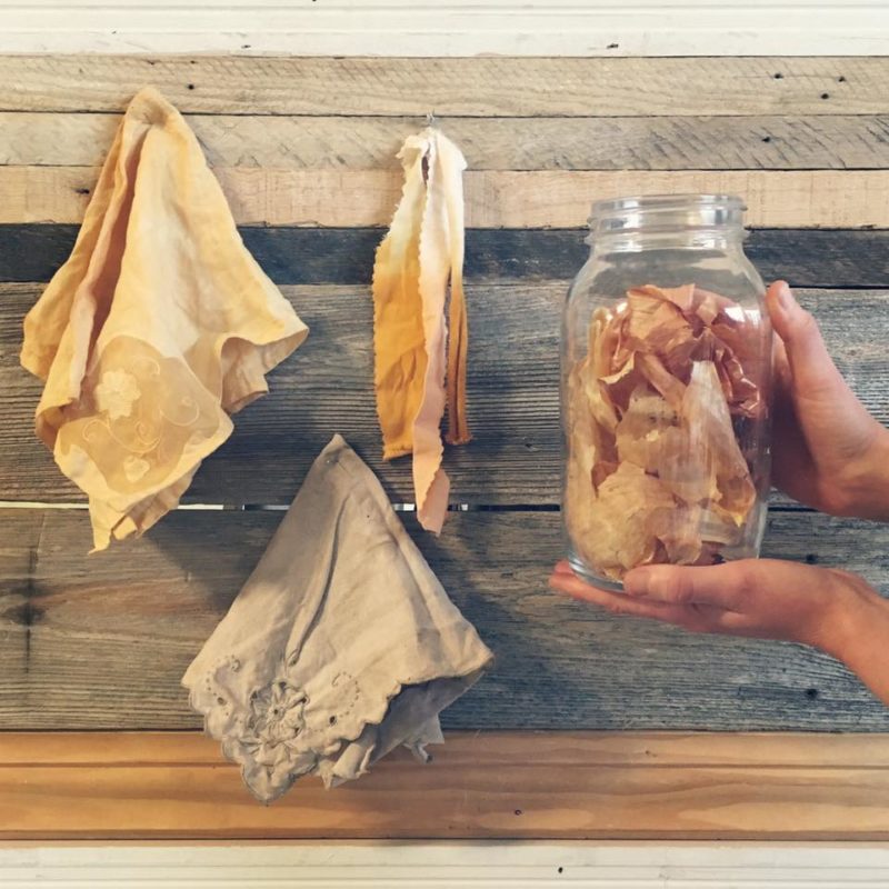 Intro. to Botanical Dyes - Member