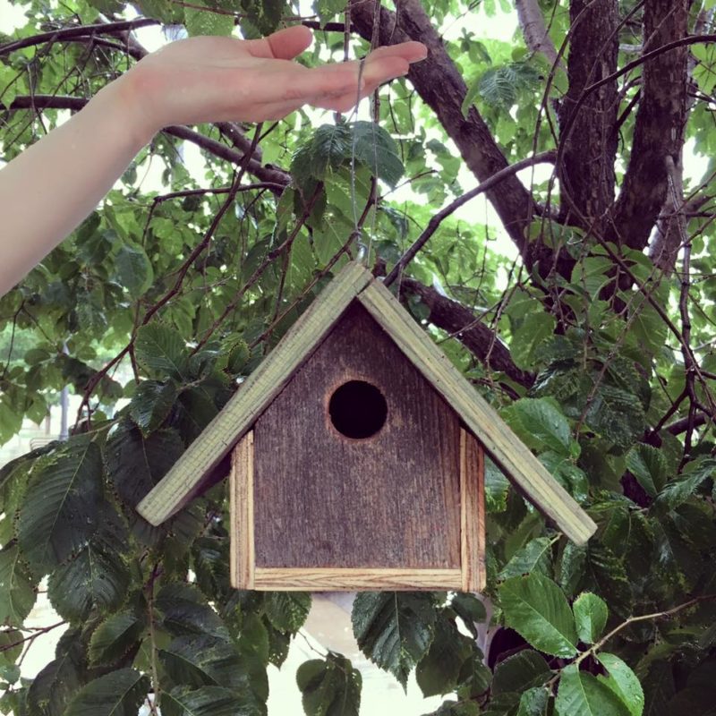 upycycled bird houses