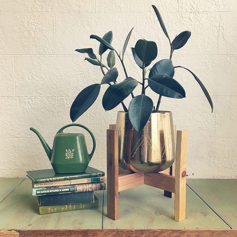 Wood Plant Stand - Non-Member 1/4