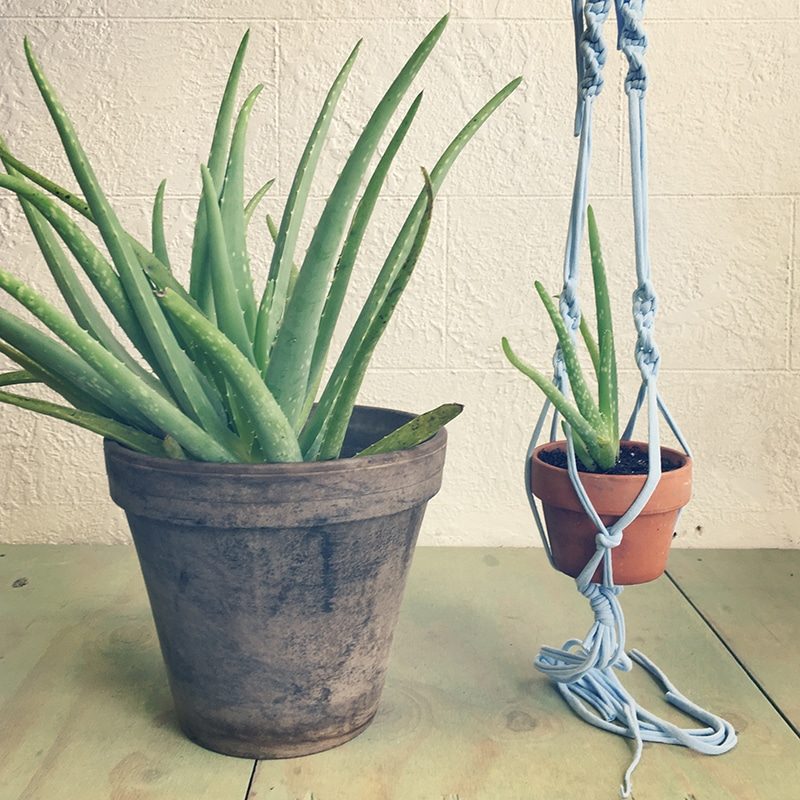 Macrame Plant Hanger - Member