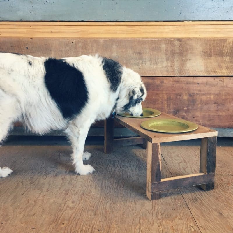 Elevated Pet Bowl Stand - Non-Member