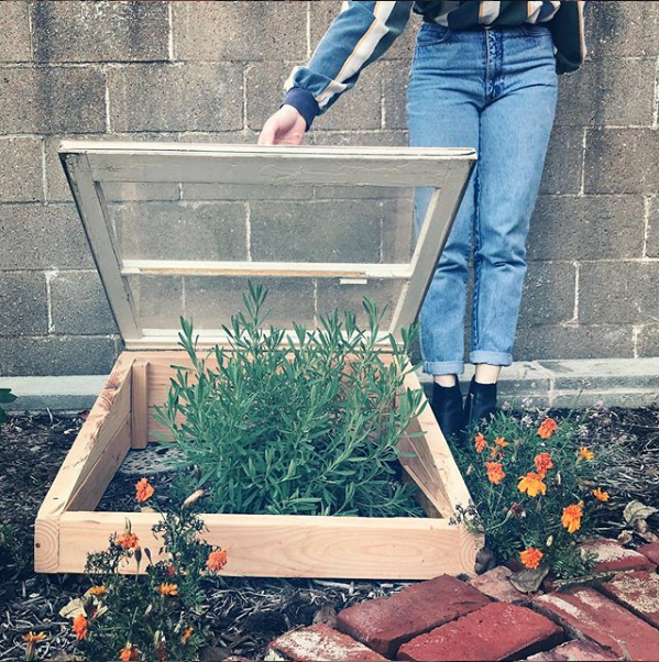 displays a handmade coldframe